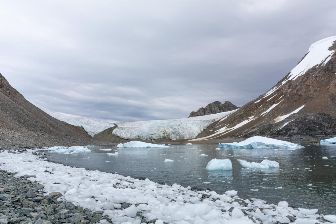 OTL30a26, Day 9, _DSC2726.jpg © Unknown Photographer - Oceanwide Expeditions.jpg