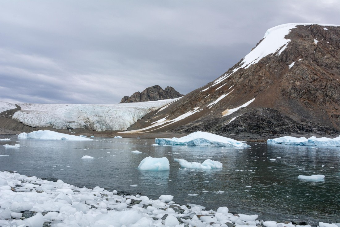 OTL30a26, Day 9, _DSC2727.jpg © Unknown Photographer - Oceanwide Expeditions.jpg