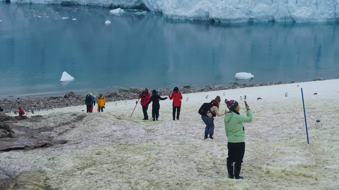 OTL30a26, Day 12, DSC05674.JPG © Unknown Photographer - Oceanwide Expeditions.JPG