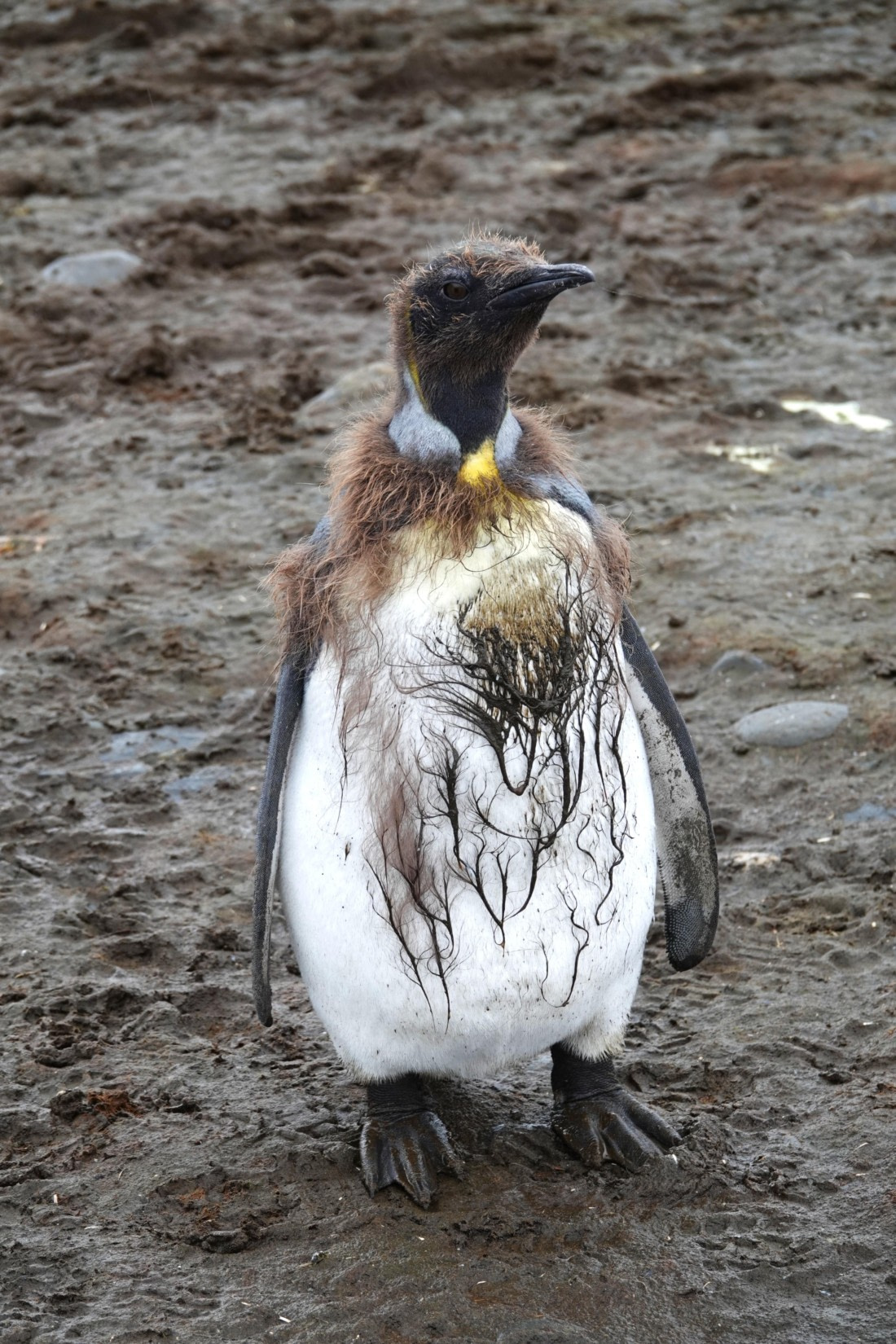 Where are the showers here?