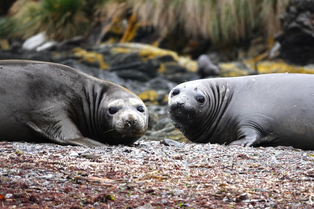 Why are you looking so stupid?