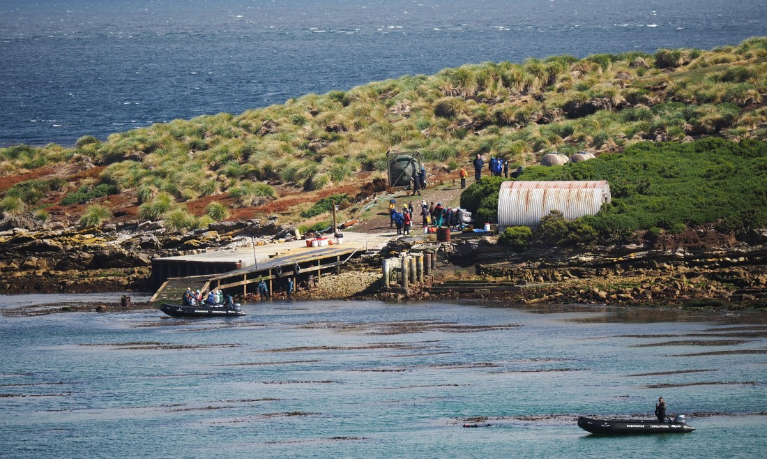 HDS29-26, Day 3, 2025-02-18 Carcass Island1, Falklands © Unknown photographer - Oceanwide Expeditions.JPG