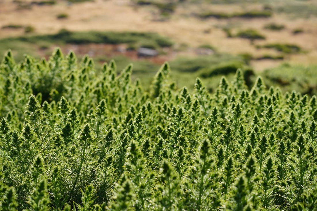 HDS29-26, Day 3, DSC05550 © Jessica Bakker - Oceanwide Expeditions.JPG