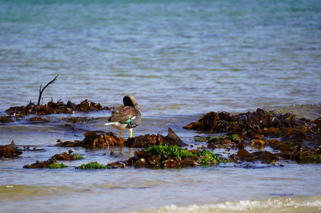 HDS29-26, Day 3, DSC05566 © Jessica Bakker - Oceanwide Expeditions.JPG