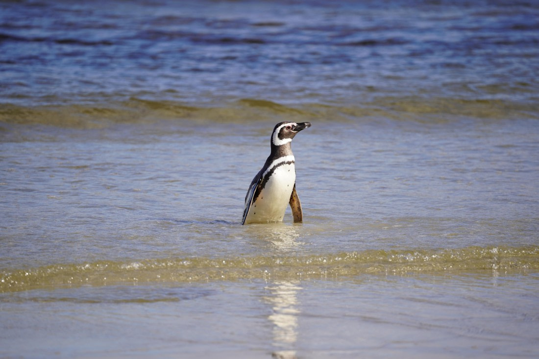 HDS29-26, Day 3, DSC05622 © Jessica Bakker - Oceanwide Expeditions.JPG