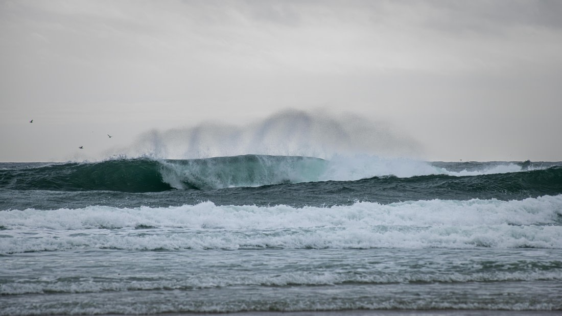 HDS29-26, Day 3, RLO_8875-Enhanced-NR © Alexander Romanovskiy - Oceanwide Expeditions.jpg