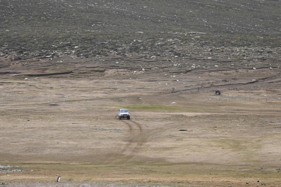 HDS29-26, Day 3, SAS_5436 © Saskia van der Meij - Oceanwide Expeditions.JPG