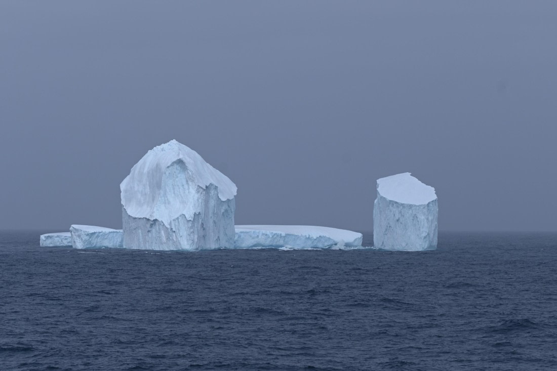 HDS29-26, Day 6, Picture3 © Unknown photographer - Oceanwide Expeditions.jpg