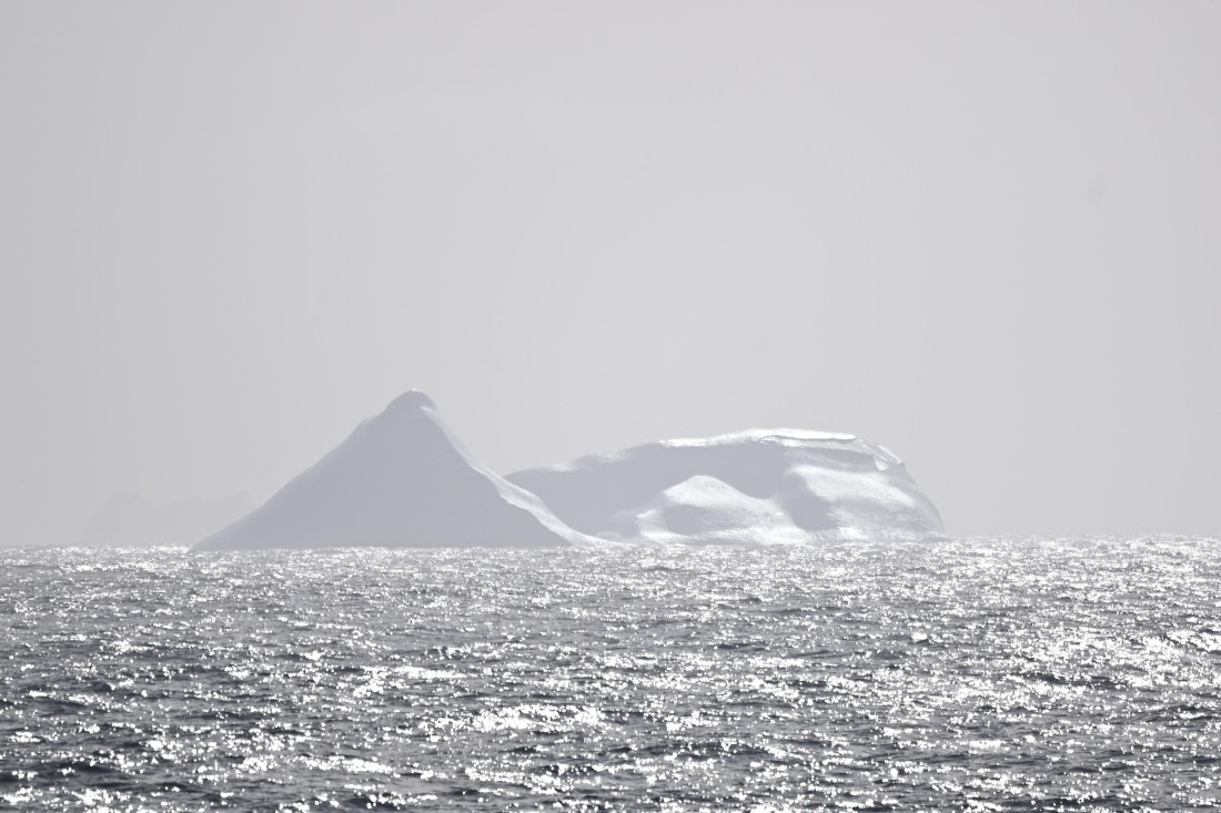 HDS29-26, Day 6, SAS_5709 © Saskia van der Meij - Oceanwide Expeditions.JPG