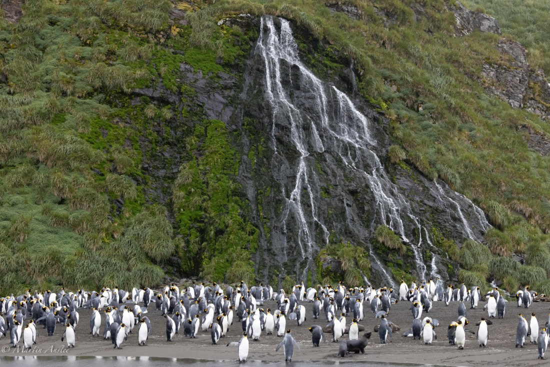 HDS29-26, Day 7, 0Q9A0318 © Martin Anstee - Oceanwide Expeditions.jpg