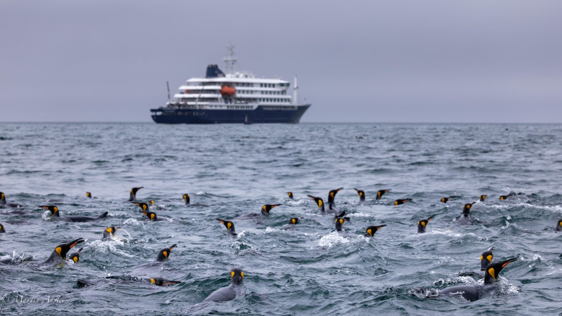 HDS29-26, Day 7, 0Q9A0534 © Martin Anstee - Oceanwide Expeditions.jpg