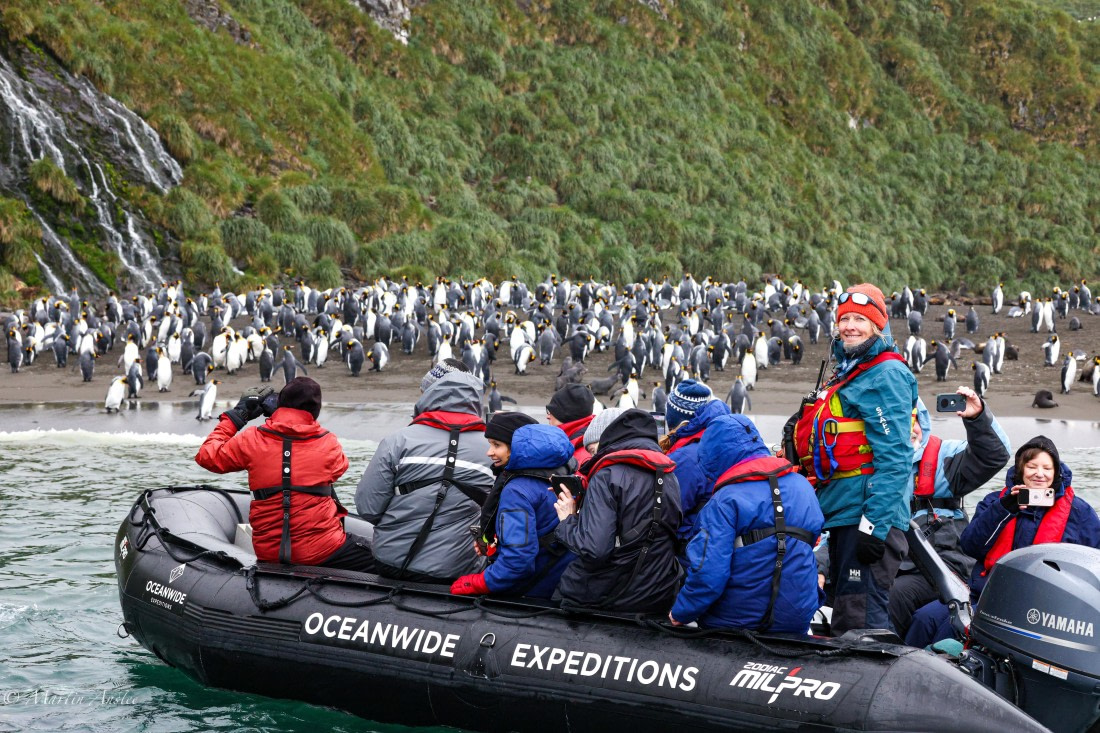 HDS29-26, Day 7, 0Q9A0556 © Martin Anstee - Oceanwide Expeditions.jpg