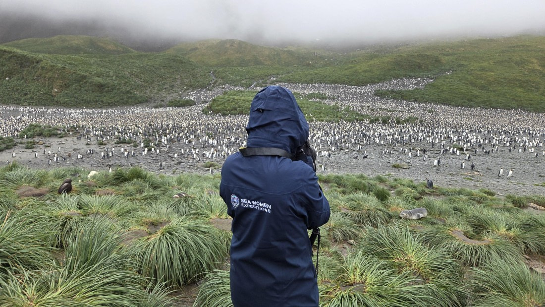 HDS29-26, Day 7, 20260222_112306 © Unknown photographer - Oceanwide Expeditions.jpg