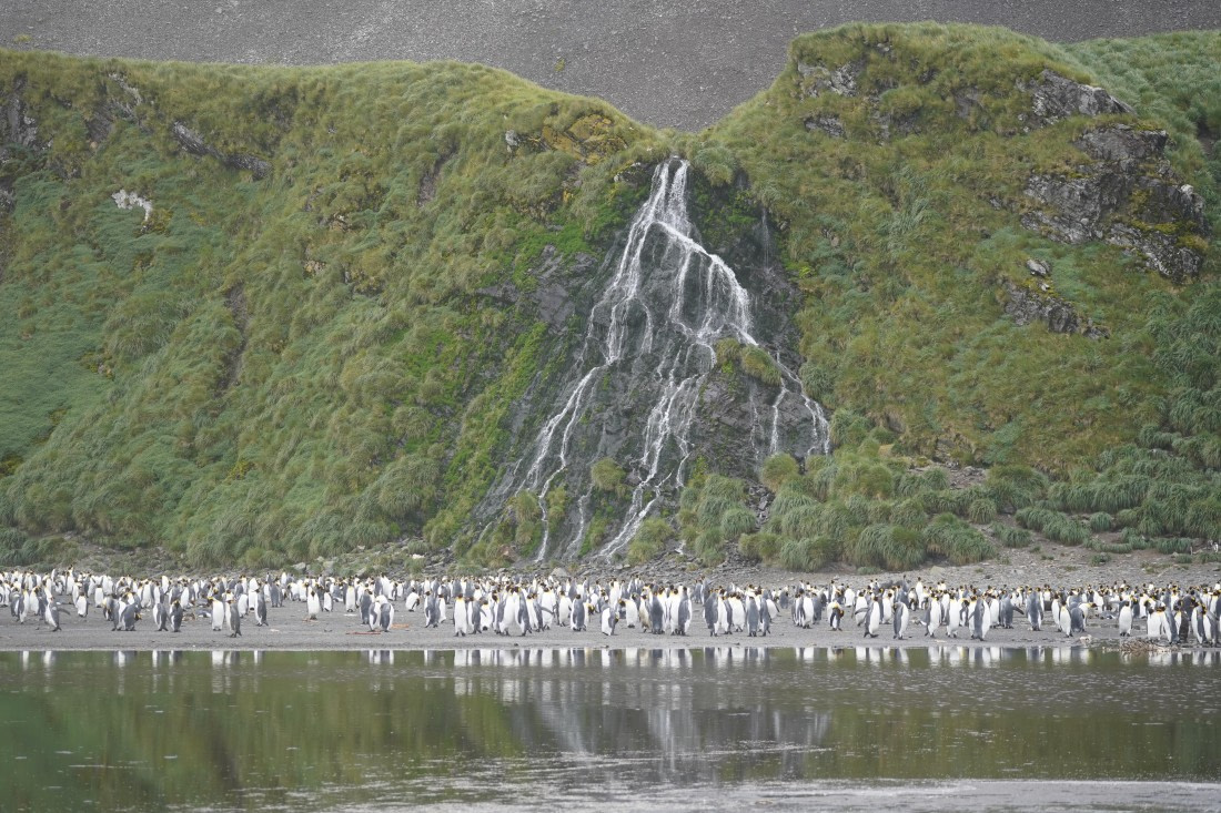 HDS29-26, Day 7, DSC06387 © Jessica Bakker - Oceanwide Expeditions.JPG