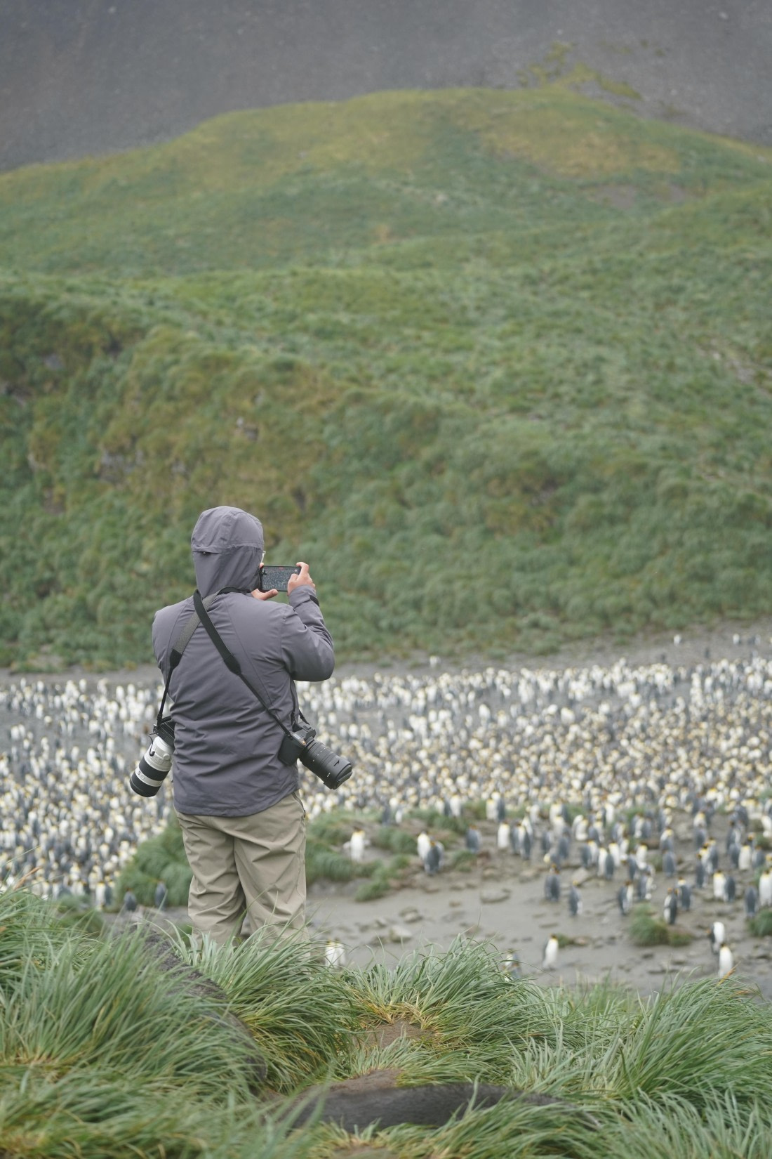 HDS29-26, Day 7, DSC06479 © Jessica Bakker - Oceanwide Expeditions.JPG