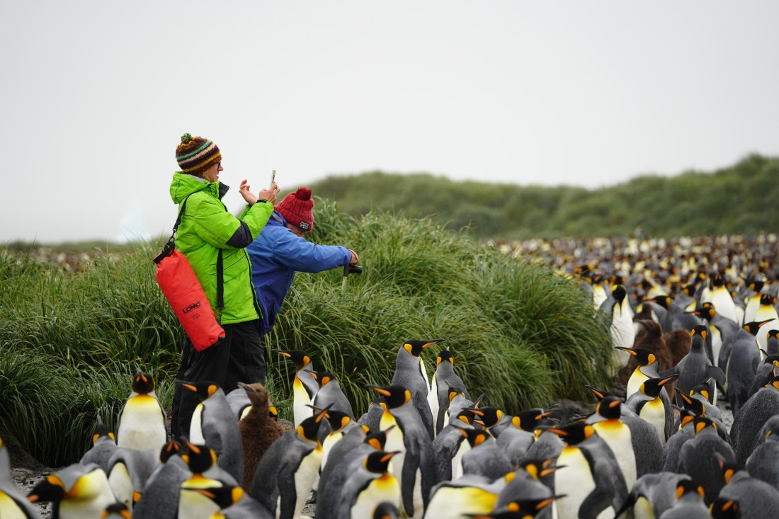 HDS29-26, Day 7, DSC06640 © Jessica Bakker - Oceanwide Expeditions.JPG