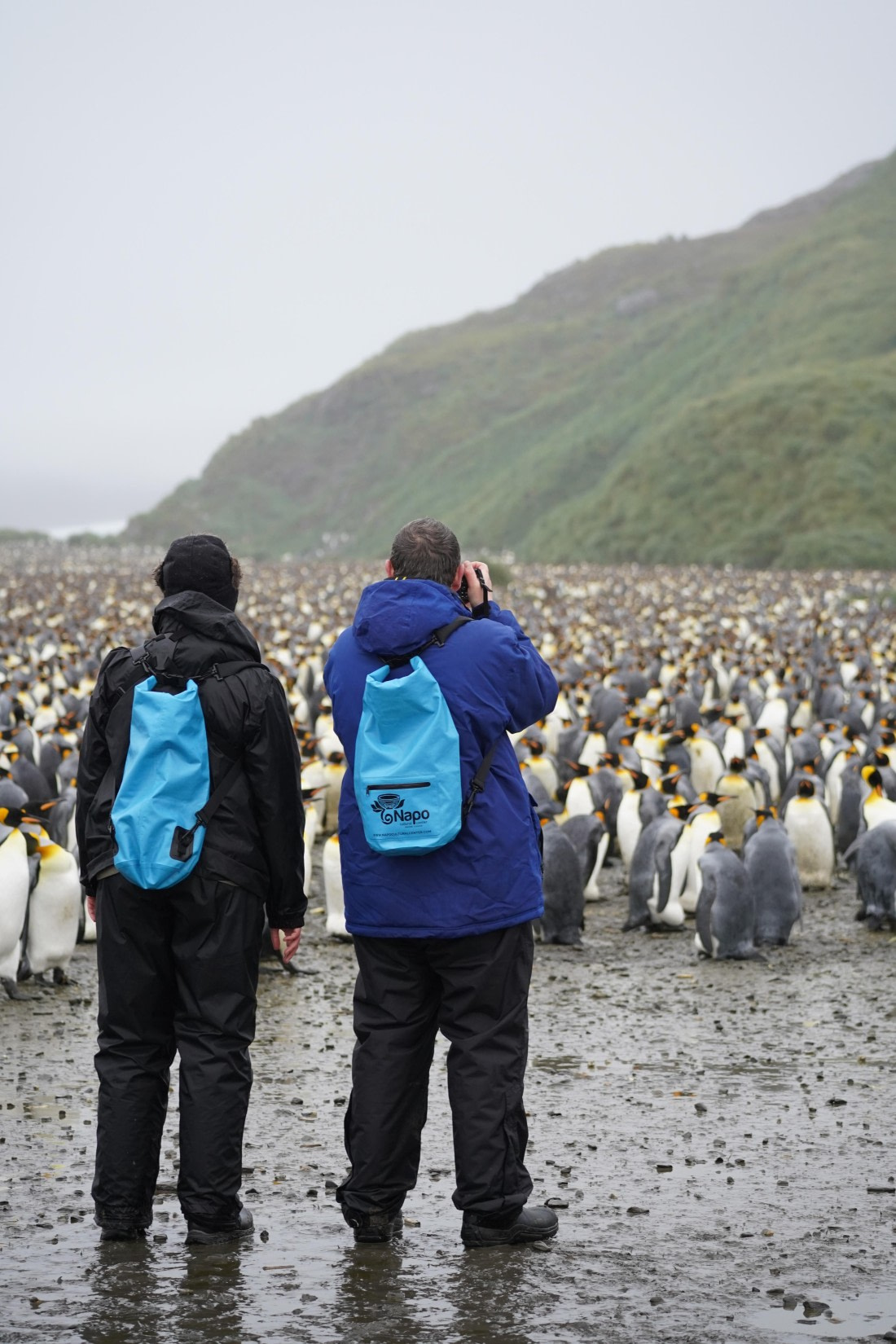 HDS29-26, Day 7, DSC06658 © Jessica Bakker - Oceanwide Expeditions.JPG