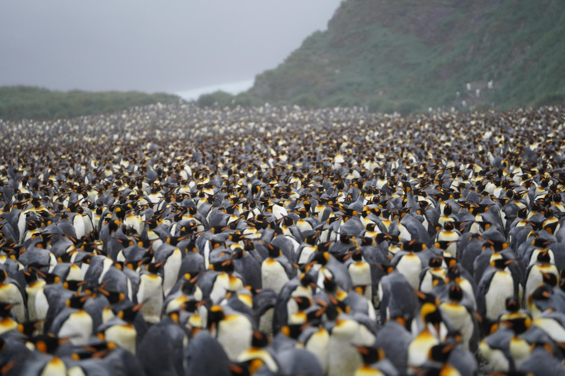 HDS29-26, Day 7, DSC06673 © Jessica Bakker - Oceanwide Expeditions.JPG