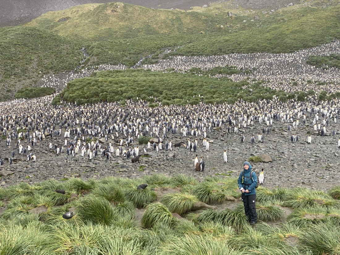 HDS29-26, Day 7, IMG_8981 © Unknown photographer - Oceanwide Expeditions.JPG