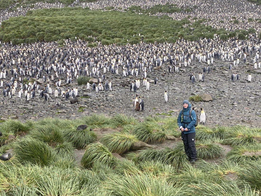 HDS29-26, Day 7, IMG_8982 © Unknown photographer - Oceanwide Expeditions.JPG