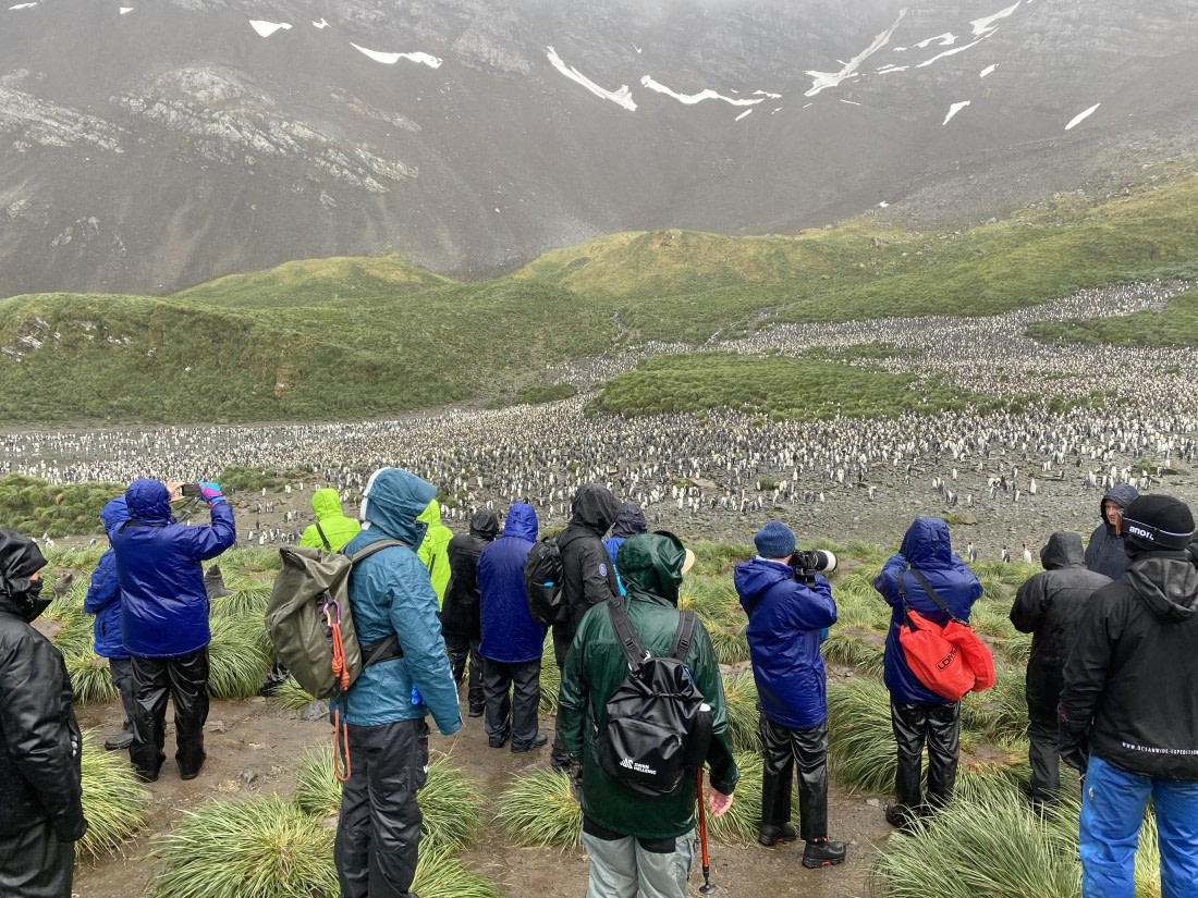 HDS29-26, Day 7, IMG_9001 © Unknown photographer - Oceanwide Expeditions.JPG