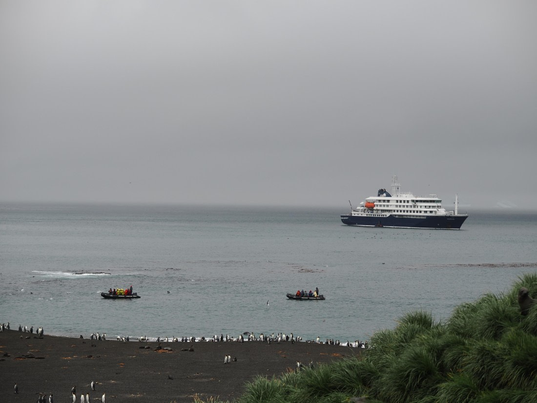 HDS29-26, Day 7, P2221351 © Unknown photographer - Oceanwide Expeditions.JPG