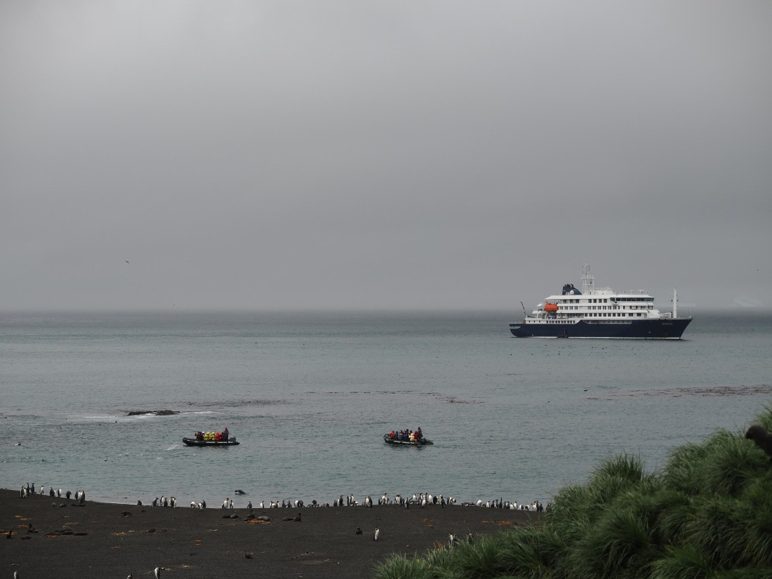 HDS29-26, Day 7, P2221353 © Unknown photographer - Oceanwide Expeditions.JPG