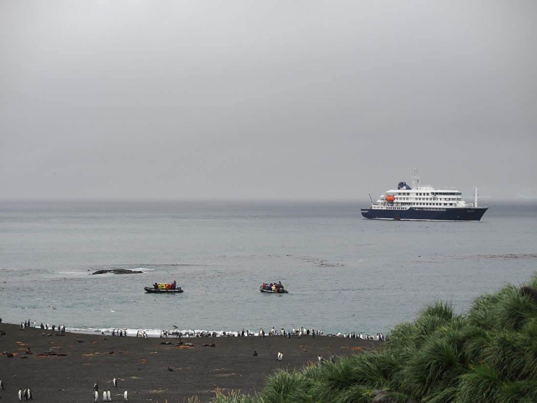 HDS29-26, Day 7, P2221354 © Unknown photographer - Oceanwide Expeditions.JPG