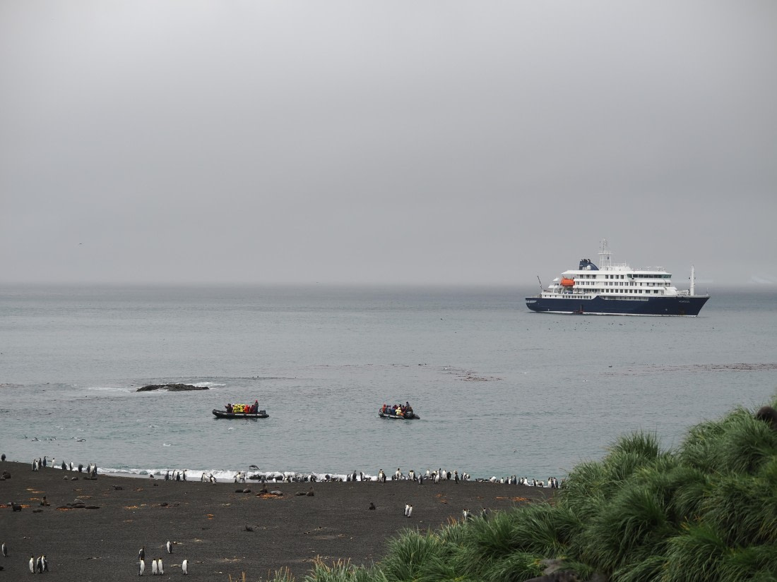 HDS29-26, Day 7, P2221355 © Unknown photographer - Oceanwide Expeditions.JPG