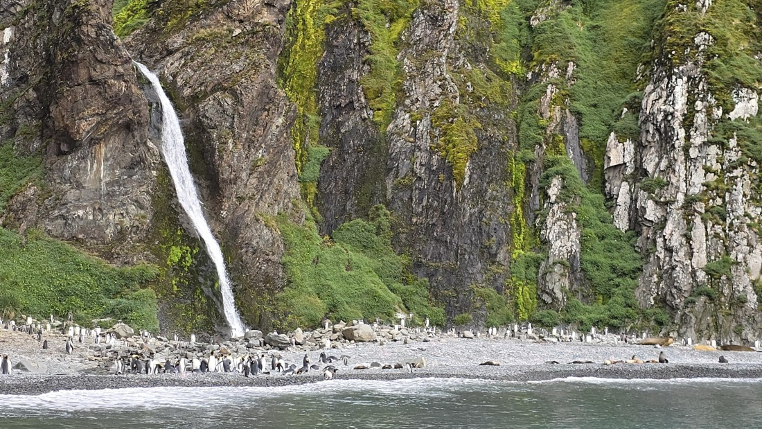 HDS29-26, Day 8, 20260223_095131 © Jodi Gaylord - Oceanwide Expeditions.jpg