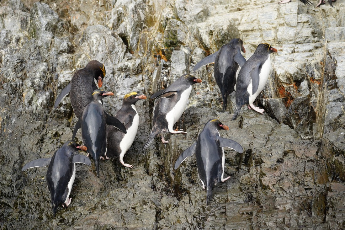 HDS29-26, Day 8, DSC06787 © Jessica Bakker - Oceanwide Expeditions.JPG