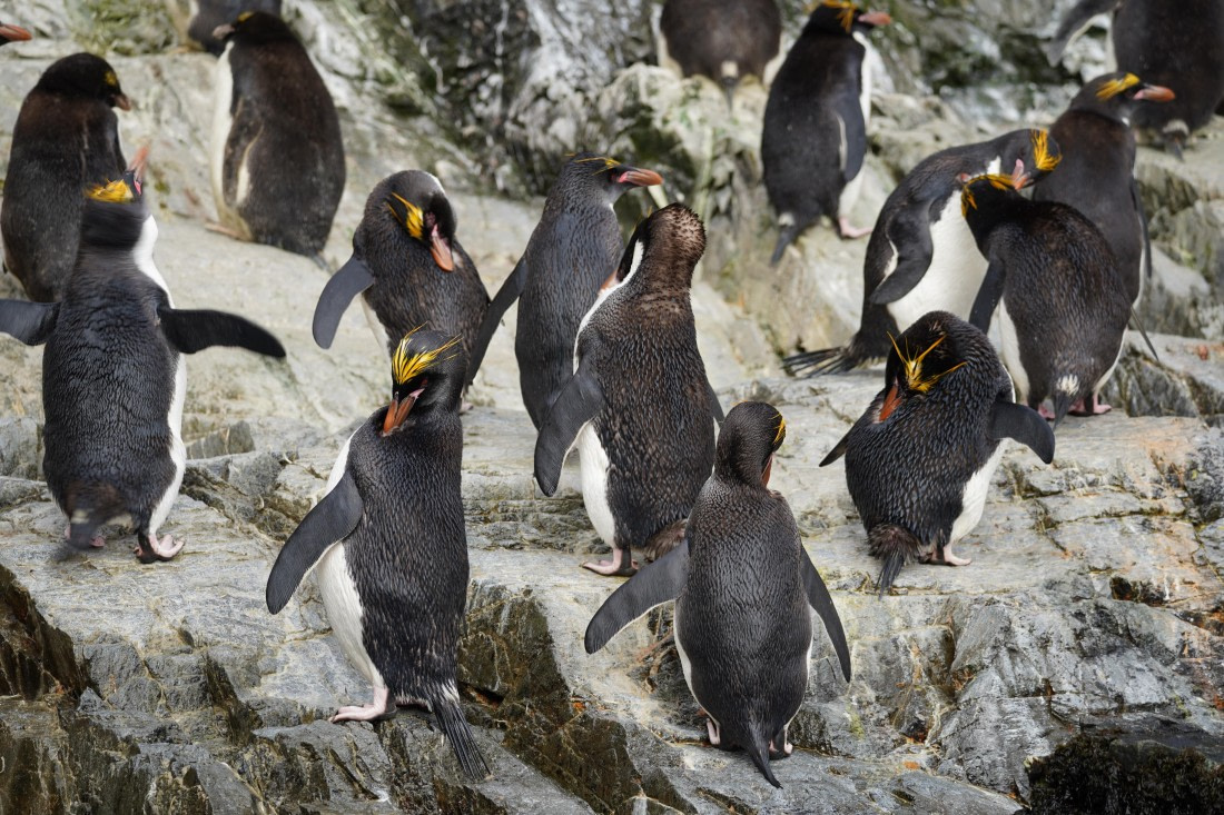 HDS29-26, Day 8, DSC06788 © Jessica Bakker - Oceanwide Expeditions.JPG
