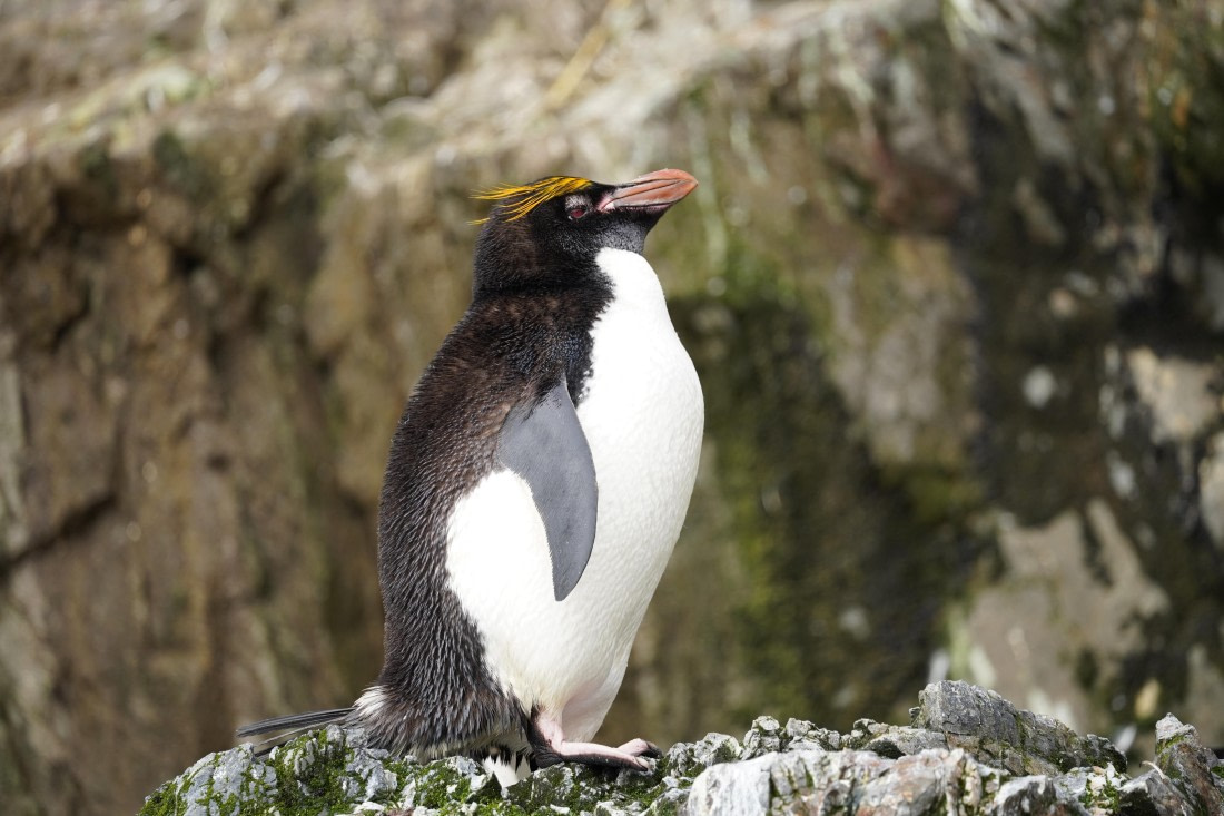 HDS29-26, Day 8, DSC06789 © Jessica Bakker - Oceanwide Expeditions.JPG
