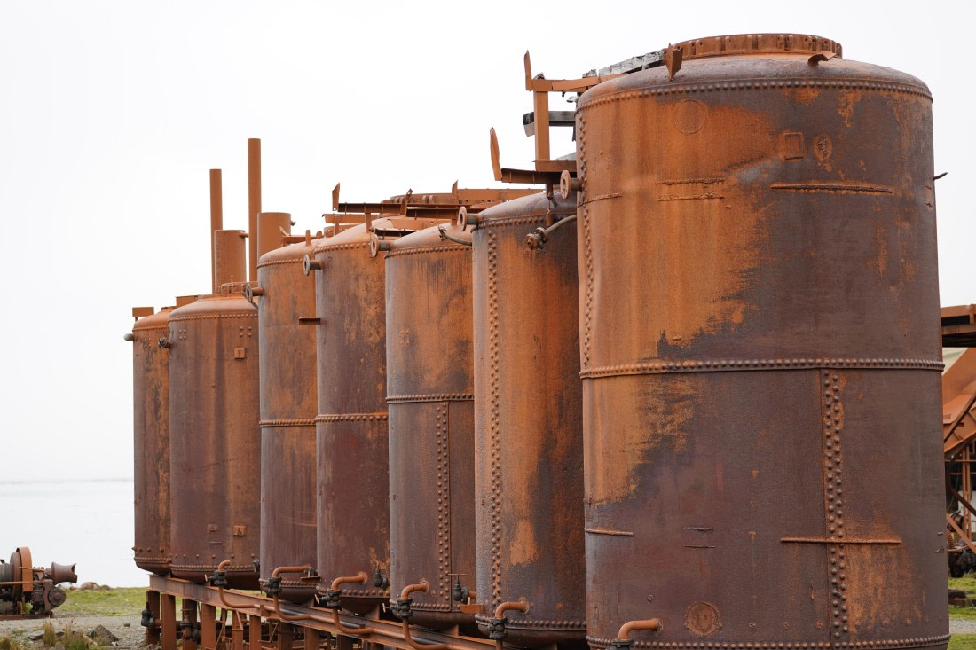 HDS29-26, Day 8, DSC07100 © Jessica Bakker - Oceanwide Expeditions.JPG