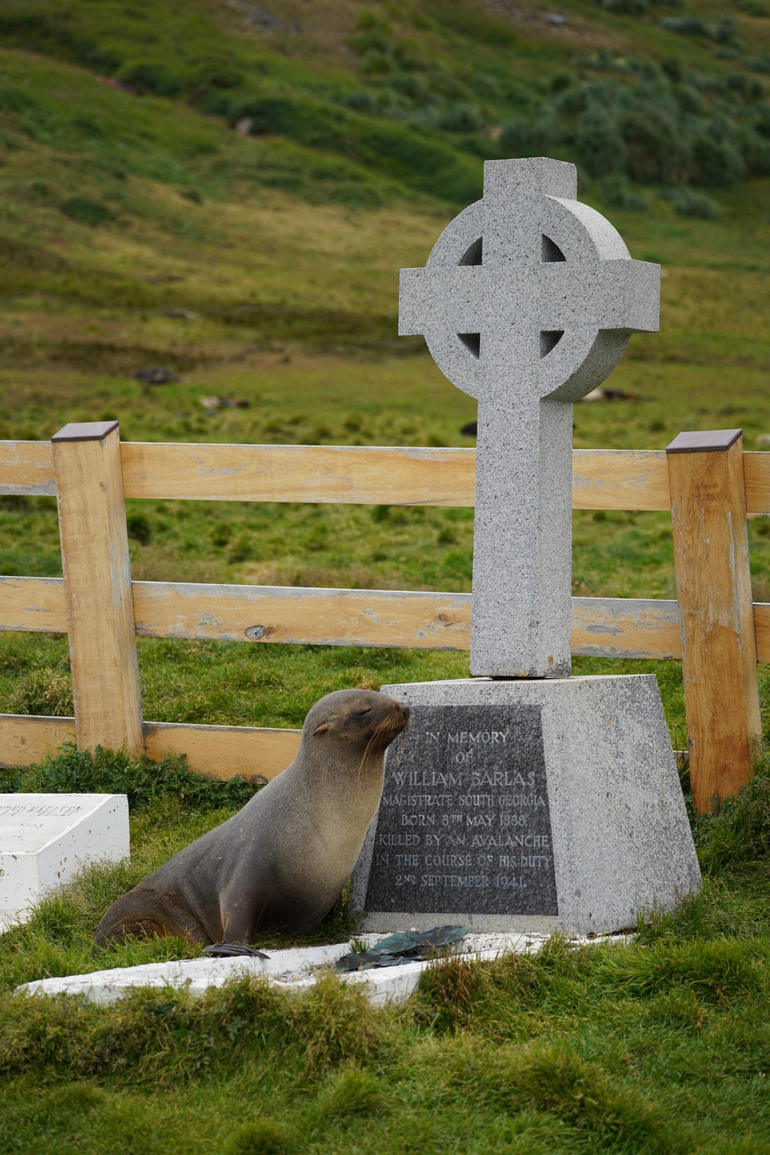 HDS29-26, Day 8, DSC07162 © Jessica Bakker - Oceanwide Expeditions.JPG