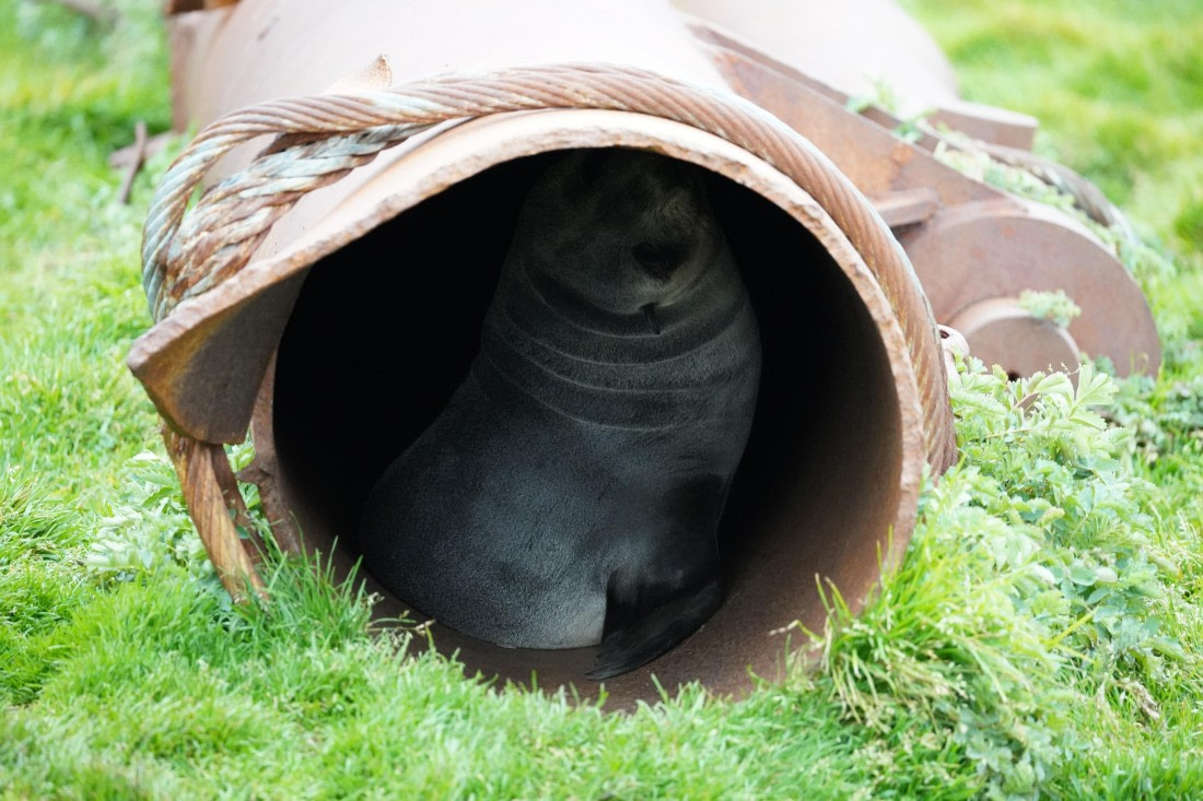 HDS29-26, Day 8, DSC07214 © Jessica Bakker - Oceanwide Expeditions.JPG