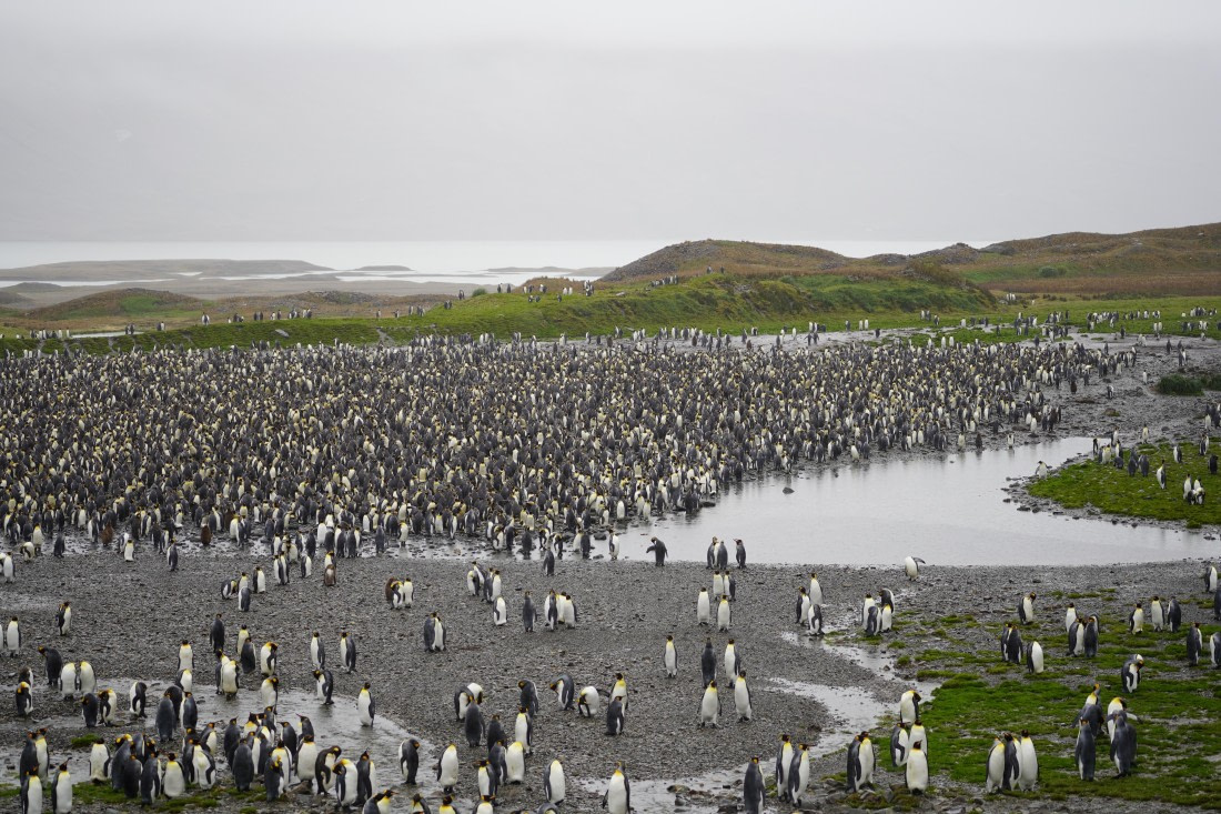 HDS29-26, Day 9, DSC07439 © Jessica Bakker - Oceanwide Expeditions.JPG