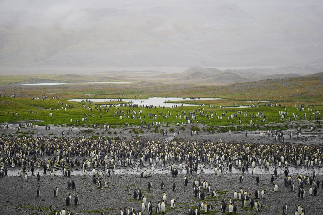 HDS29-26, Day 9, DSC07451 © Jessica Bakker - Oceanwide Expeditions.JPG