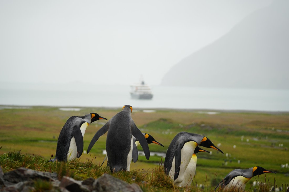 HDS29-26, Day 9, DSC07458 © Jessica Bakker - Oceanwide Expeditions.JPG