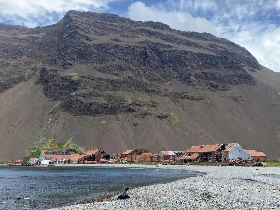 HDS29-26, Day 9, IMG_9070 © Unknown photographer - Oceanwide Expeditions.JPG