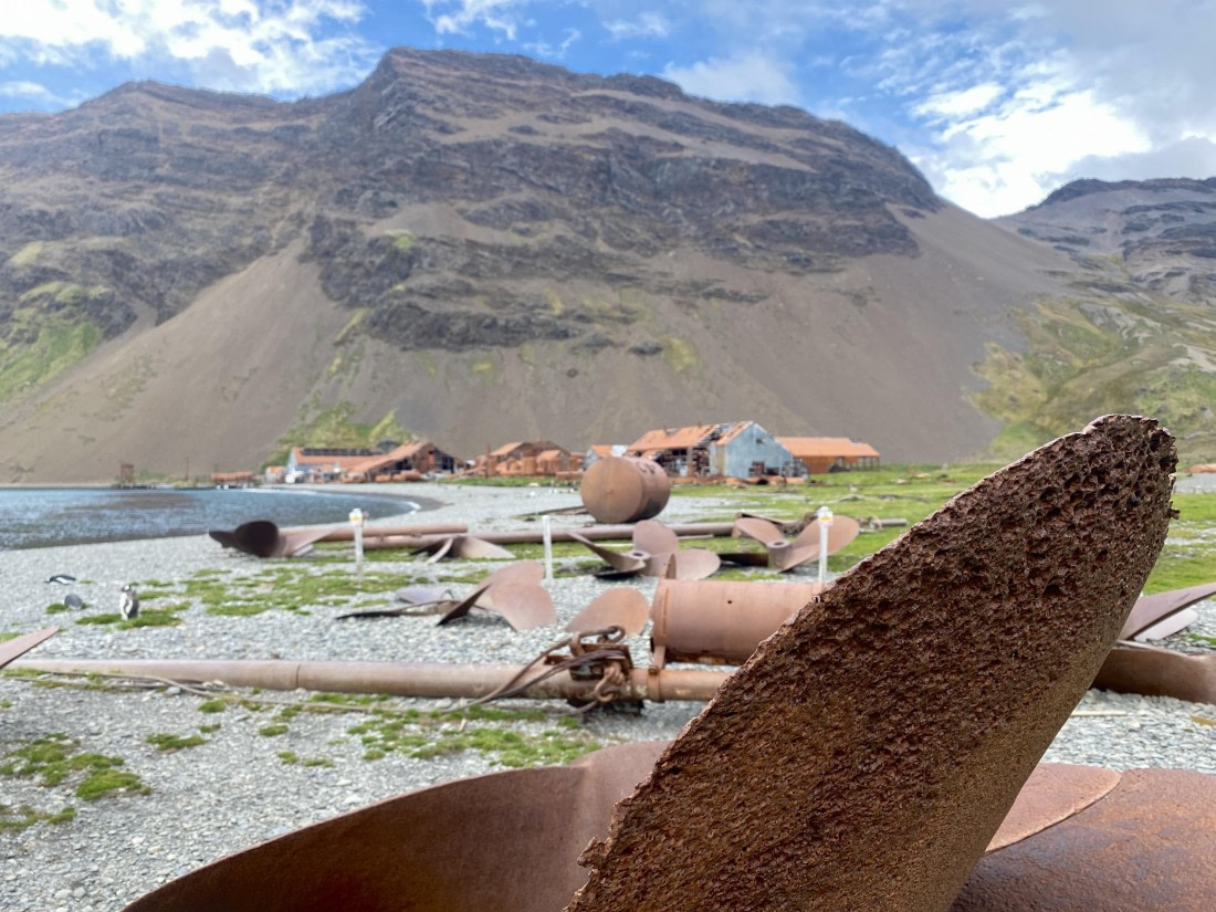 HDS29-26, Day 9, IMG_9076 © Unknown photographer - Oceanwide Expeditions.jpg