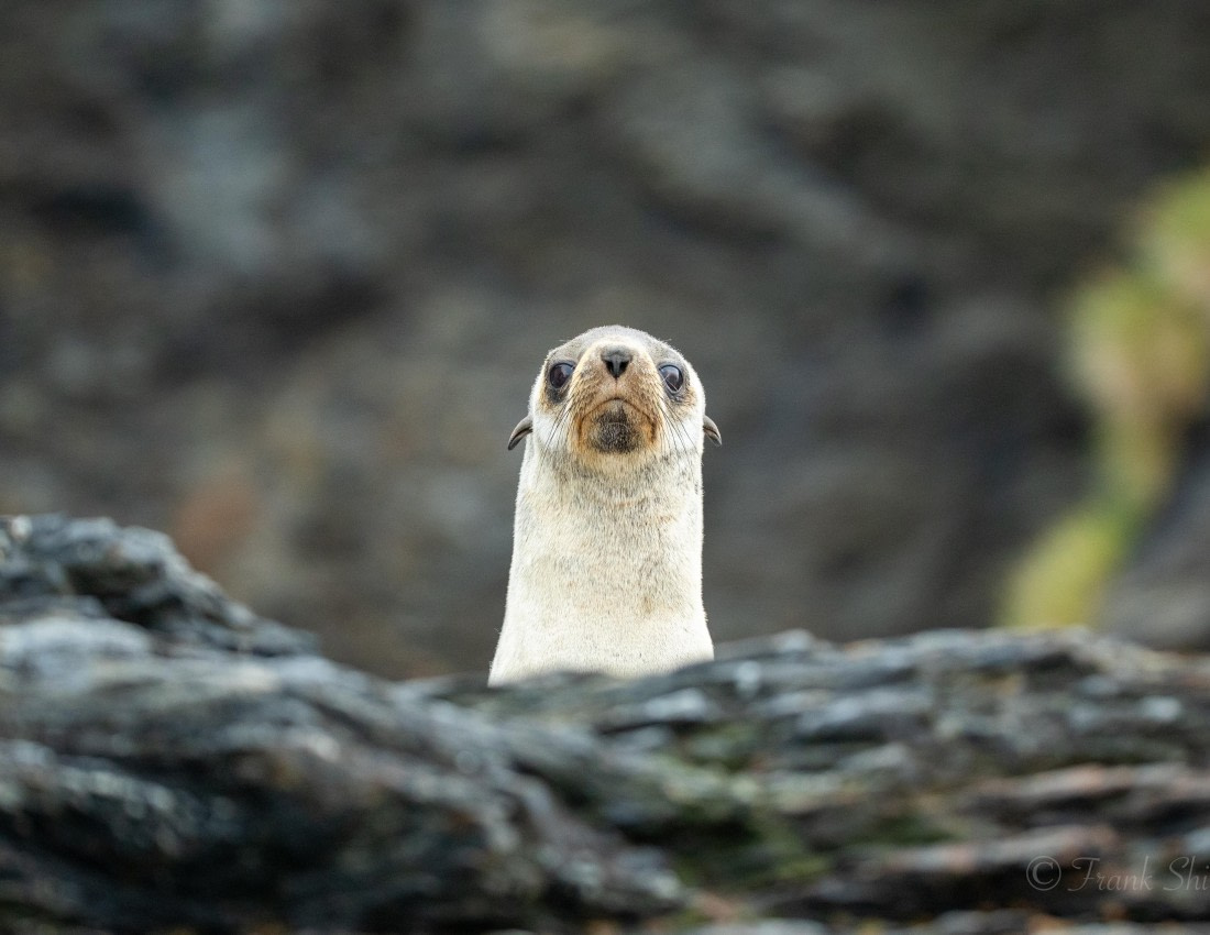 HDS29-26, Day 10, 493A2983 © Unknown photographer - Oceanwide Expeditions.JPG