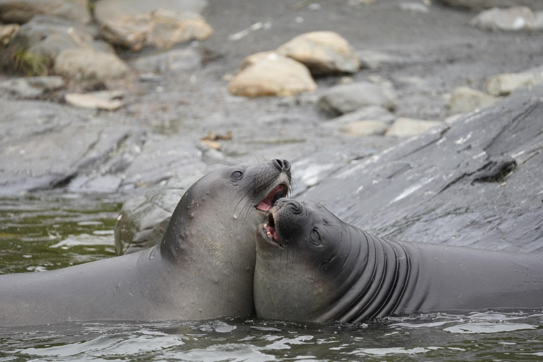 HDS29-26, Day 10, DSC08021 © Jessica Bakker - Oceanwide Expeditions.JPG