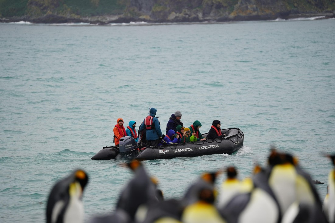 HDS29-26, Day 10, DSC08099 © Jessica Bakker - Oceanwide Expeditions.JPG