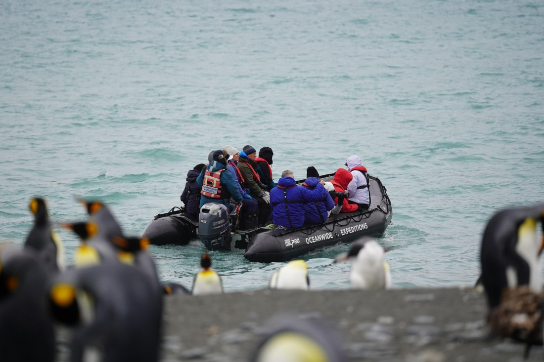 HDS29-26, Day 10, DSC08100 © Jessica Bakker - Oceanwide Expeditions.JPG