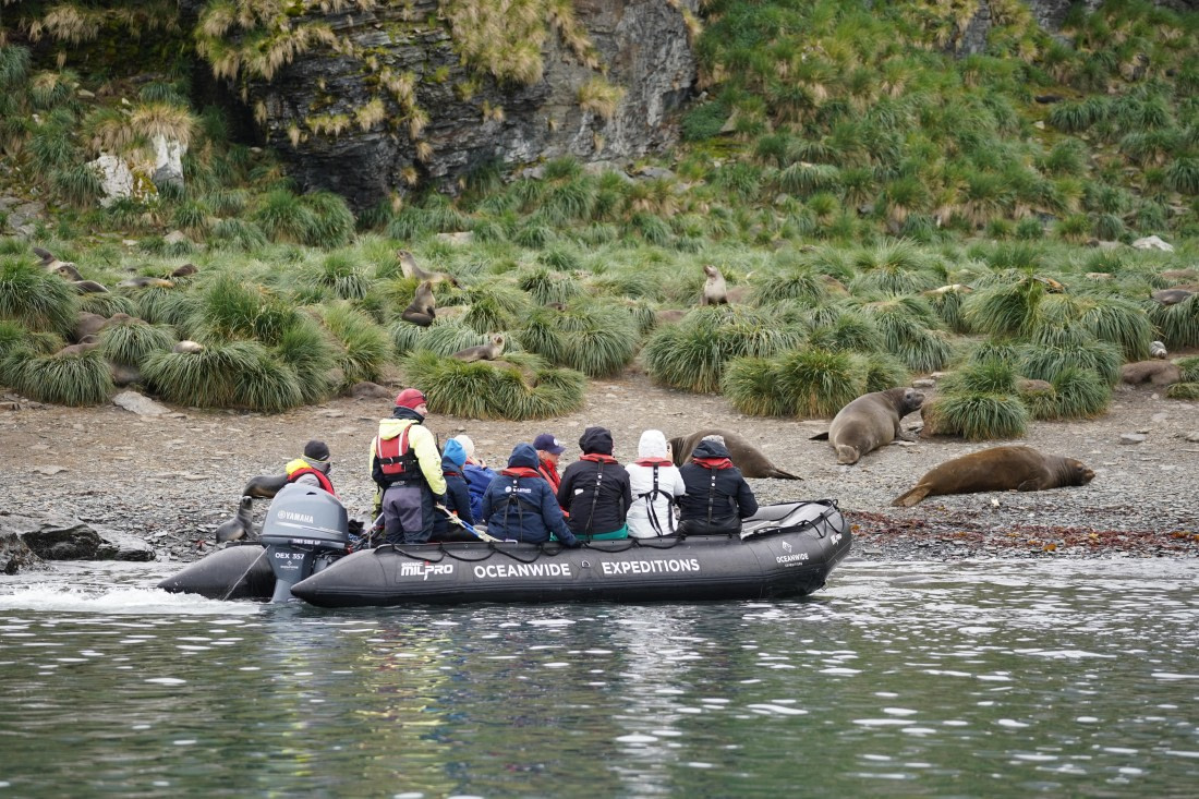 HDS29-26, Day 10, DSC08467 © Jessica Bakker - Oceanwide Expeditions.JPG