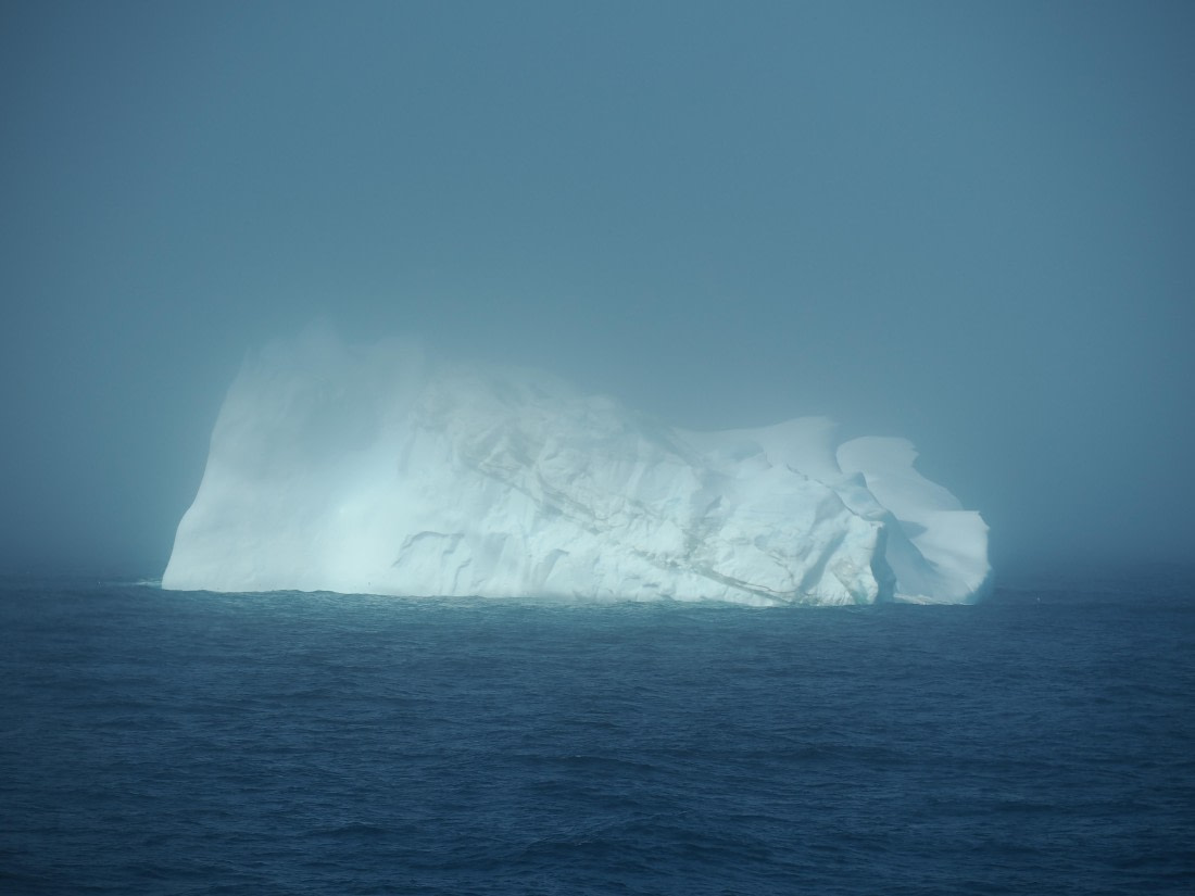 HDS29-26, Day 11, P2261447 © Unknown photographer - Oceanwide Expeditions.JPG