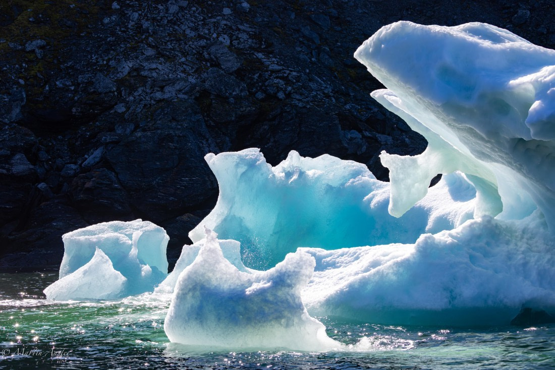 HDS29-26, Day 12, 0Q9A1358 © Martin Anstee - Oceanwide Expeditions.jpg