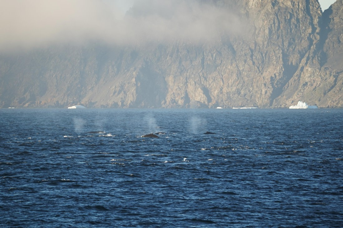 HDS29-26, Day 12, DSC08651 © Jessica Bakker - Oceanwide Expeditions.JPG