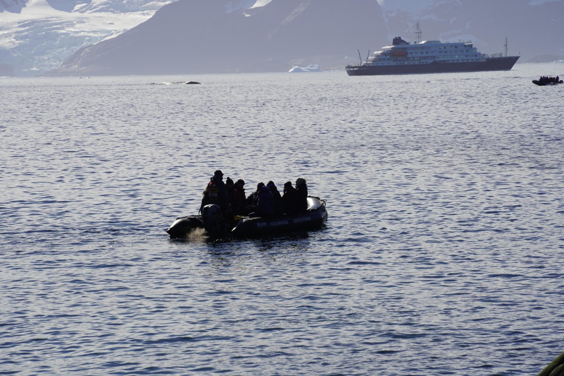 HDS29-26, Day 12, DSC08889 © Jessica Bakker - Oceanwide Expeditions.JPG